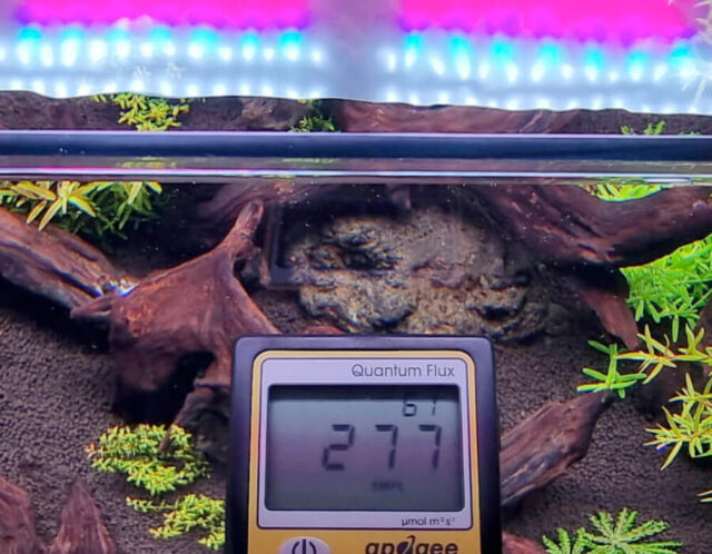 ILLUMINAZIONE ACQUARIO: Led, HQI, Neon, Fotoperiodo, Lumen, Temperatura di  colore, IRC RA ~ Aquascaping Lab